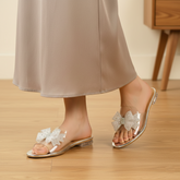 Luxury Bow Tie Silver Transparent Flat Women Footwear DW-08